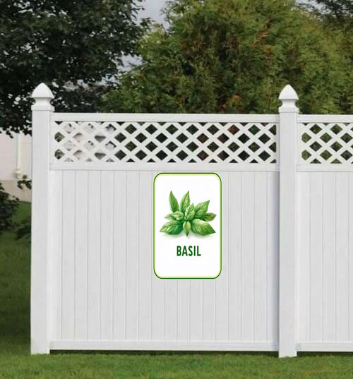 basil 001 3.jpg