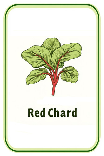 red chard 001.jpg