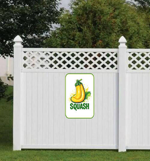 squash 001 3.jpg