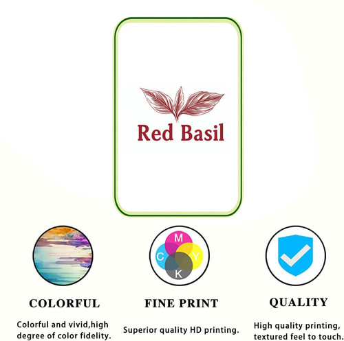 red basil 001 1.jpg
