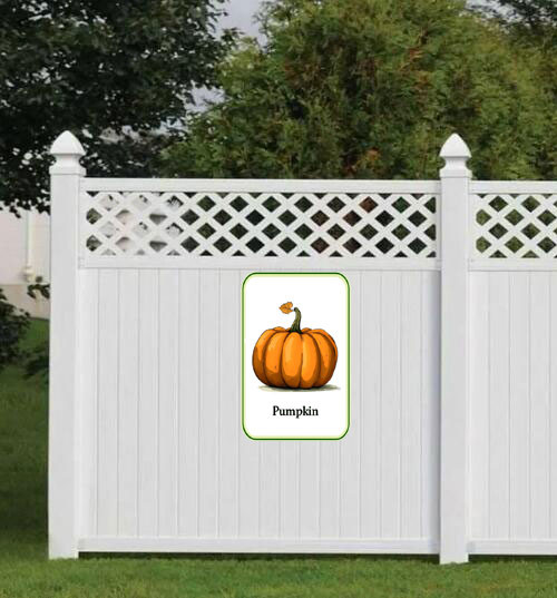 pumpkin 001 3.jpg