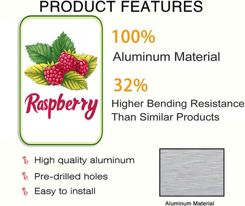 raspberry 001 2.jpg