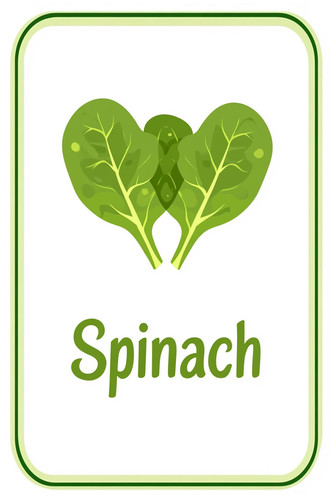 spinach 001.jpg