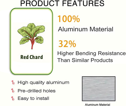 red chard 001 2.jpg