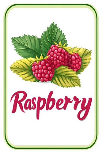 raspberry 001.jpg