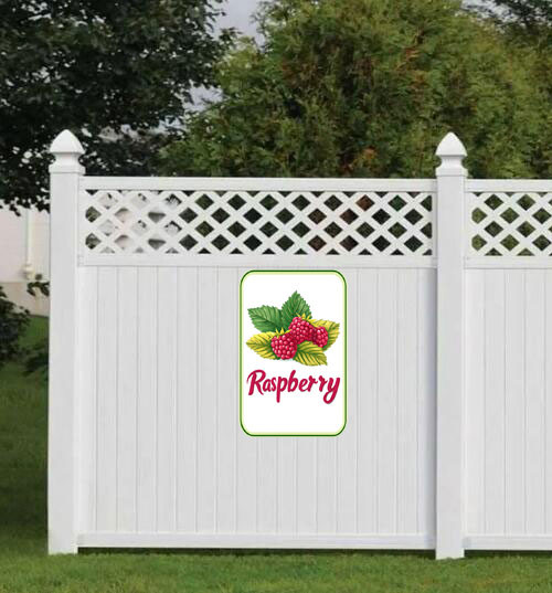 raspberry 001 3.jpg