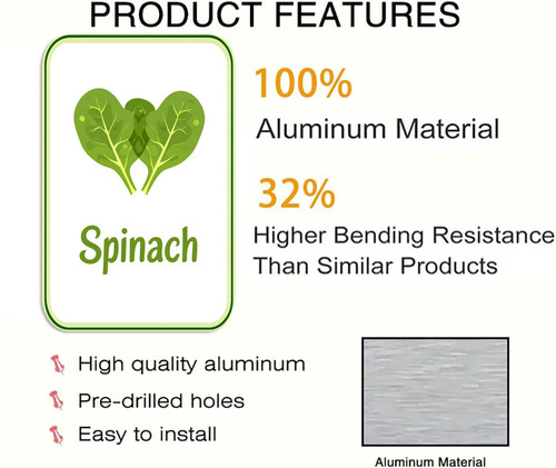 spinach 001 2.jpg