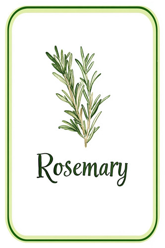 rosemary 001.jpg