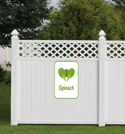 spinach 001 3.jpg