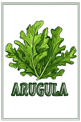 arugula 002.jpg