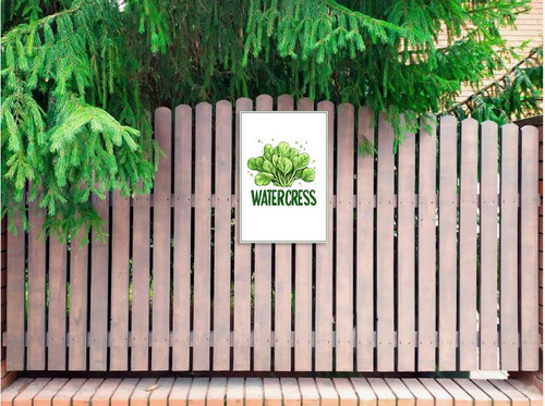 watercress 002 2.jpg