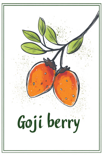 goji berry 002.jpg