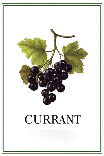 currant 001.jpg