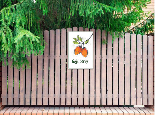 goji berry 002 2.jpg
