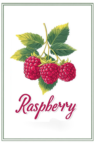 raspberry 002.jpg
