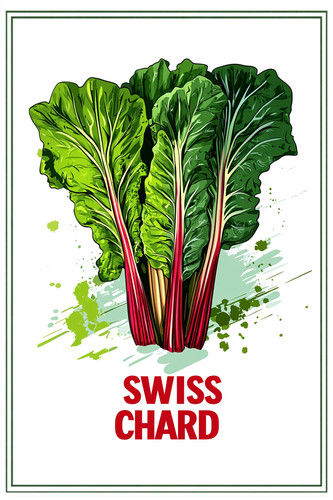 swiss chard 002.jpg