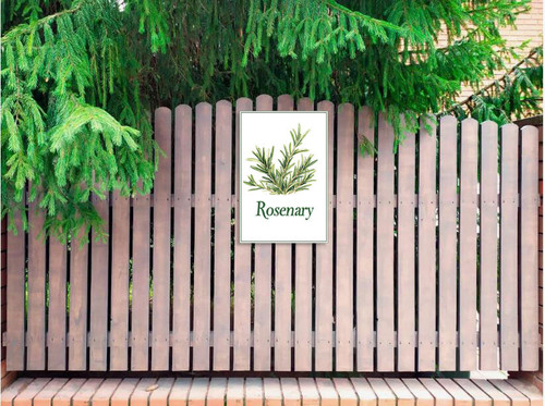 rosenary 001 2.jpg