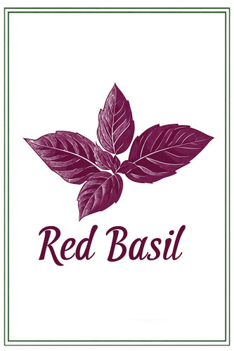 red basil 002.jpg