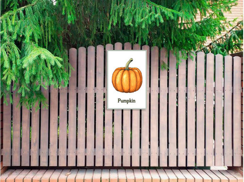 pumpkin 002 2.jpg