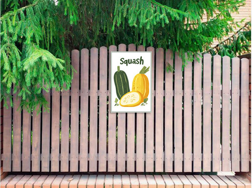 squash 002 2.jpg