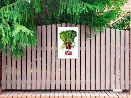 swiss chard 002 2.jpg