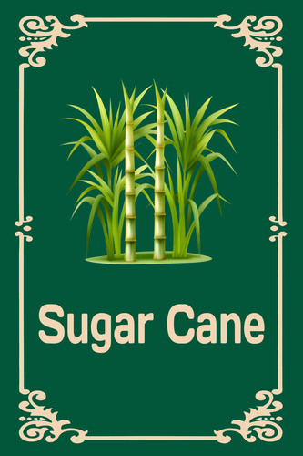 sugar cane Crop Farm Labels Plant Markers.jpg