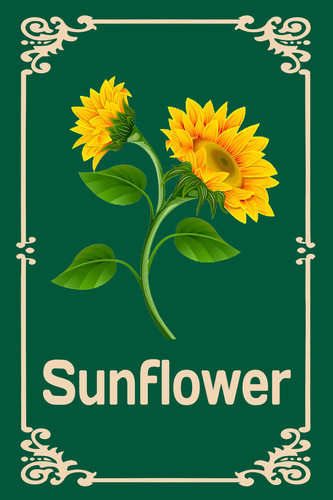 sunflower Crop Farm Labels Plant Markers.jpg