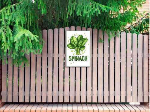 spinach 002 2.jpg