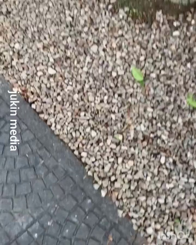 R utcqhoeMvHLbH .jpg