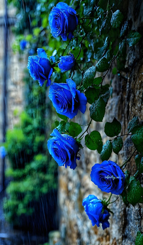 freepik enhance 23457.jpg