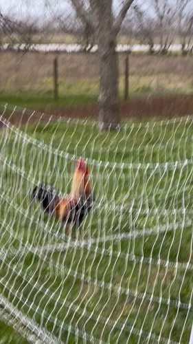 w y4f4GeDxm 9RJ0.jpg