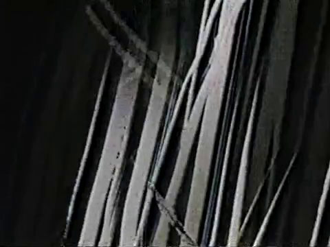 vlcsnap 2025 06 08 15h00m41s593.png