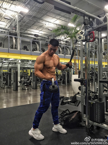 3.1