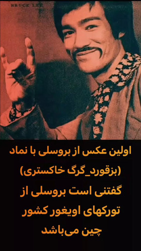 Qh6Lh31m5HxSIFrw.jpg