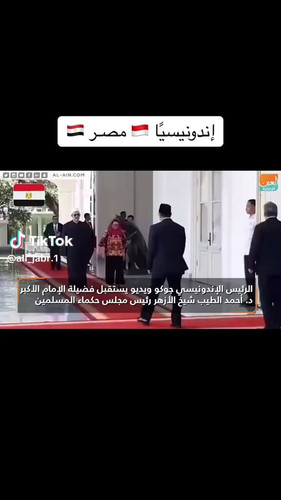 TV6IncBMWHKZOmlt.jpg
