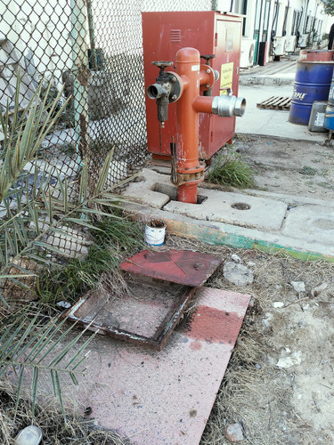 IMG20250607092224.jpg