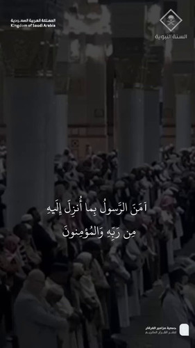 0MdNNUMc697q 83f.jpg