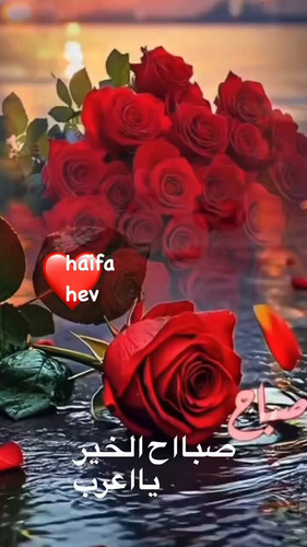 0uEppFnKSS16Fjot.jpg