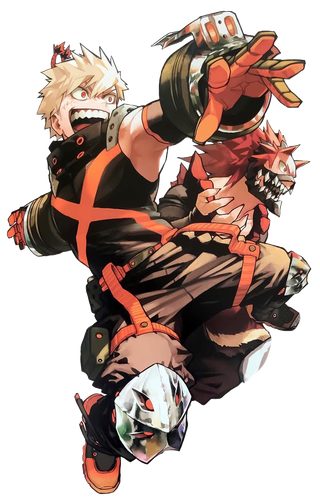 IMG 8137.png