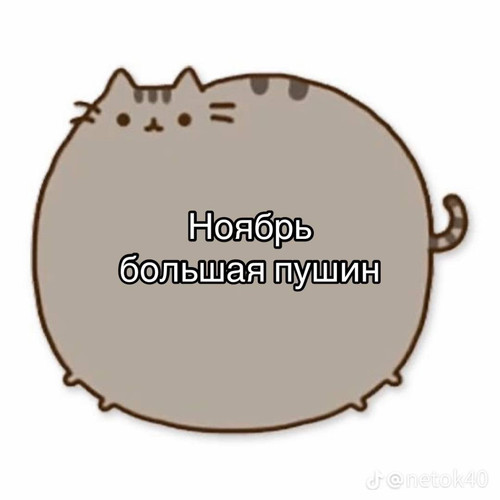 file 6303.jpg