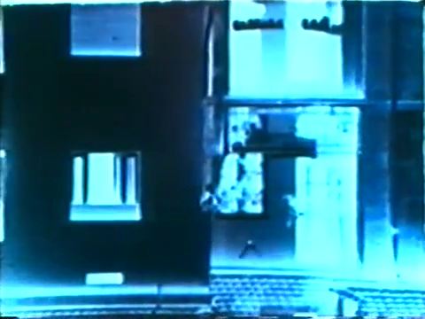 vlcsnap 2025 06 08 13h30m21s575.png