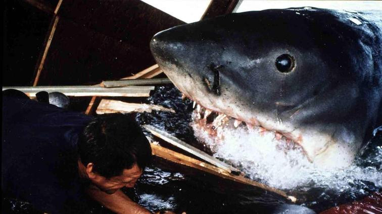 Roy Scheider e o tubarão falso em Jaws