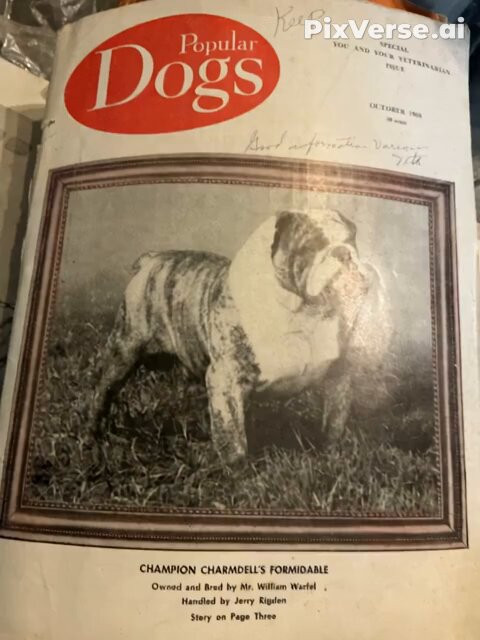 xd LwYQQvS5lOXAv.jpg