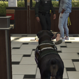 FiveM GTAProcess SSCbwo5jjd.png
