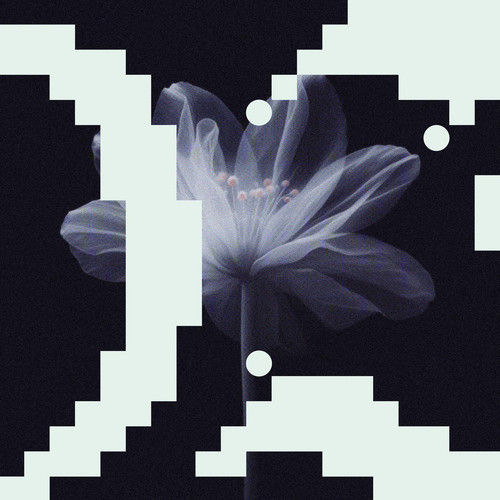 44d3d8e2cb45.jpg
