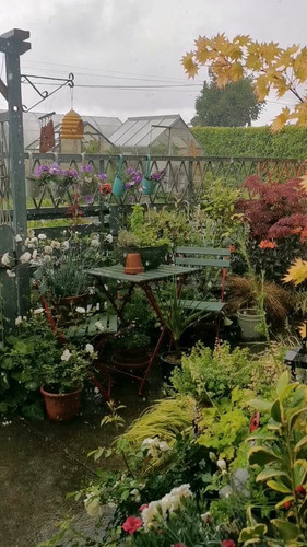 ikm1liJoCbDiVxBs.jpg