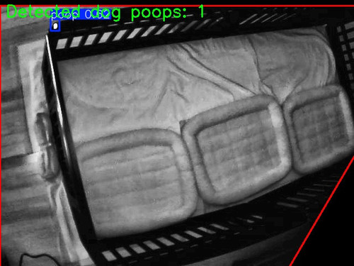 20250607 183605 processed image.jpg