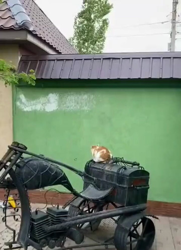 Xj57Wxz8ClDjRxVa.jpg