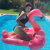 IG VS REAL LIFE 1 2 3 4 Quella volta in cui assaltai un fenicottero gigante nella piscina di @minumi