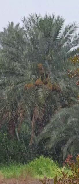 ihE98 0bonng 0AV.jpg